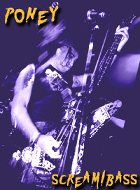 Poney - Screams and Bass